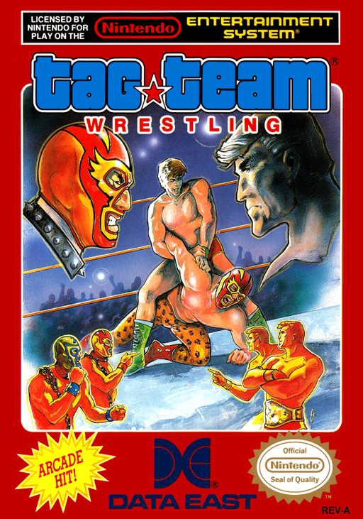 Tag Team Wrestling (USA) box art